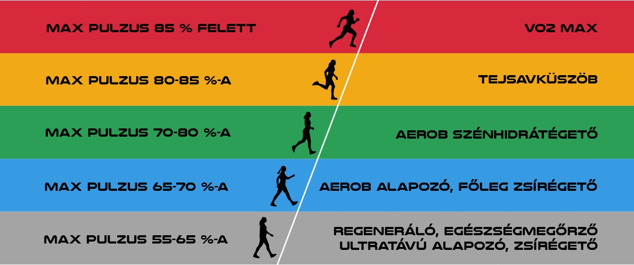 Hogyan számítható ki a maximális futási pulzusod? | Polar Hungary